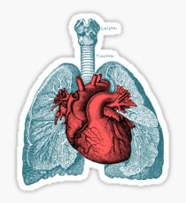 Red Heart and Lungs Human Anatomy art Sticker