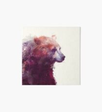 Bear // Calm - Square Format Art Board
