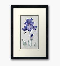 Blue Iris with Bee Framed Print