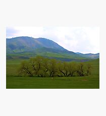 Green valley Photographic Print