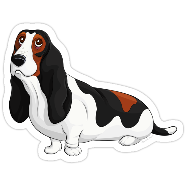 Basset Hound Stickers By Anmgoug Redbubble 8102