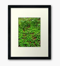 Green world~ Framed Print