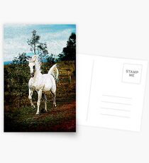 Gallop Postcards