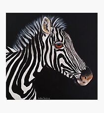 Zebra baby Fotodruck