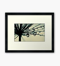 papyrus II Framed Print
