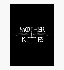 Mother Of Kitties Photographic Print