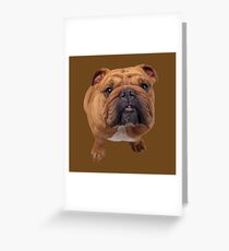 Bulldog Greeting Card