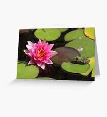 Frog and Water Lily Greeting Card