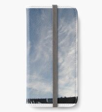 washing line iPhone Wallet/Case/Skin