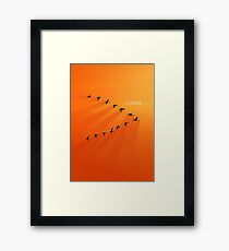 Bird Formation - Teamwork Framed Print