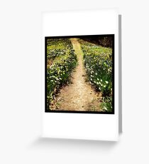 Path of Flowers in Bloom Greeting Card