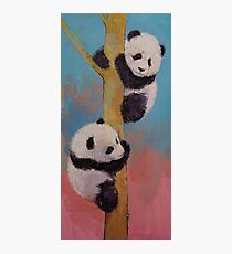 Panda Fun Fotodruck