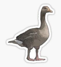 Canada Goose Sticker
