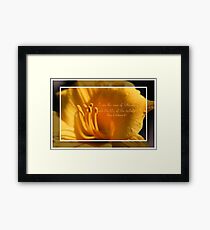 I am the Rose of Sharon and the Lily of the Valley Framed Print
