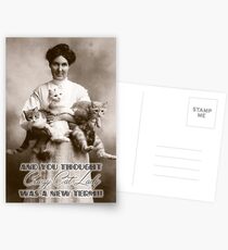 Postales Crazy Cat Lady tarjeta