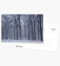 Dreamy Snowfall in Woods Postcards