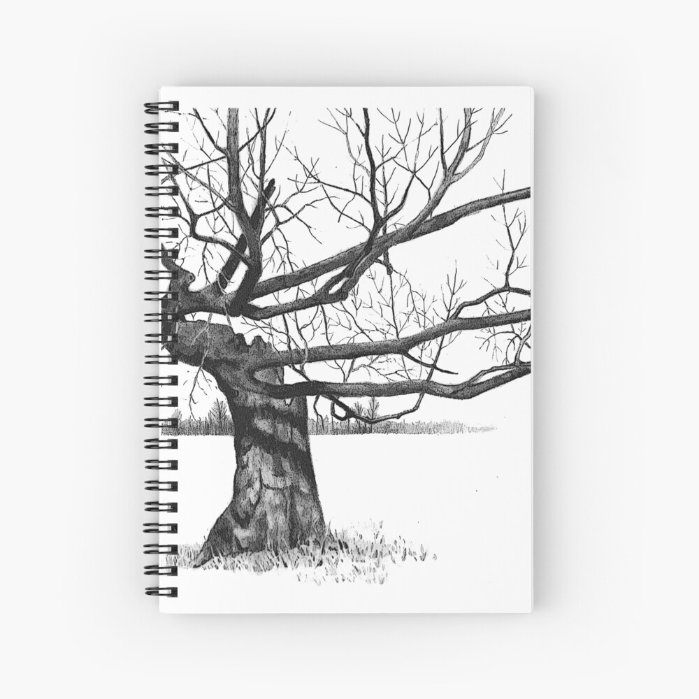  Gnarly Tree  with Twisted Branches Pencil Drawing  Spiral  