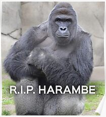 Harambe Poster