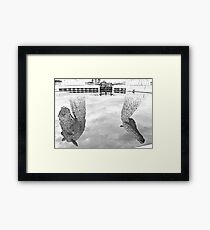 Reflections Of A Kelpie Framed Print