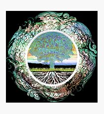 Tree of Life Circle of Life Photographic Print