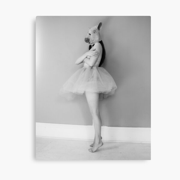 Dancing Swine Canvas Print