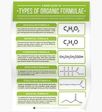 Types of Organic Chemistry Formula Poster