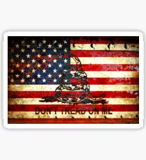 American Flag And Viper On Rusted Metal Door - Don't Tread On Me Sticker