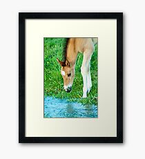 Waters Edge Framed Print