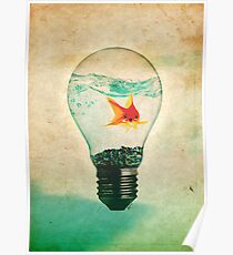 Fish Bulb Poster