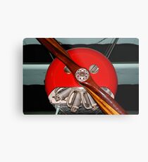 Red Nose Metal Print
