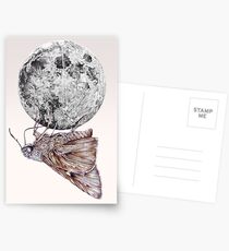 In which a moth is enticed by the light of the moon Postcards
