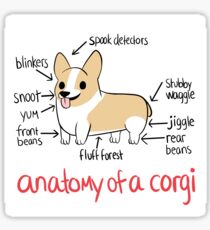 Anatomy of a Corgi Sticker