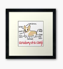 Anatomie eines Corgis Gerahmtes Wandbild