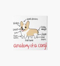 Anatomy of a Corgi Art Board