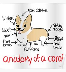 Anatomy of a Corgi Poster
