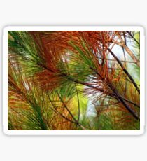 pine brush Sticker