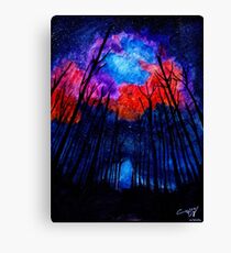 Farben der Nacht Leinwanddruck
