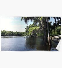Suwannee River Hinton Landing, at the mouth Poster