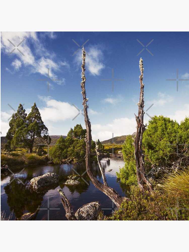 Tarn it by MelBrackstone