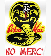 Cobra Kai Dojo Poster