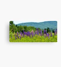A Sign of Summer Canvas Print