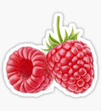 Raspberries Sticker