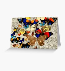 Botanical Butterflies Greeting Card Greeting Card