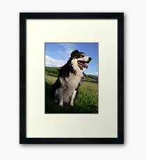 Out with Laddie. Framed Print