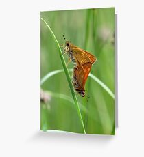Skippers Greeting Card
