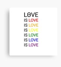 love is love is love Canvas Print