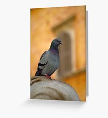 Posing Pigeon Greeting Card