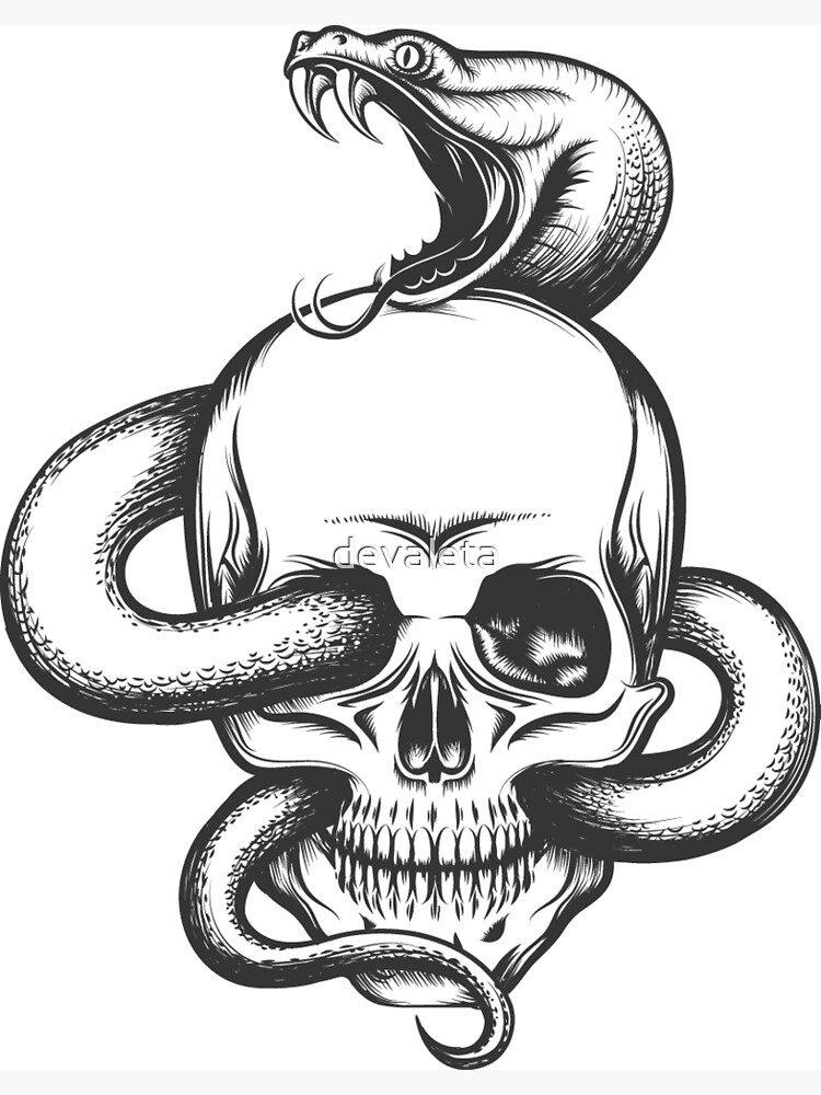 "Snake and Skull Engraving Illustration" Poster by devaleta | Redbubble