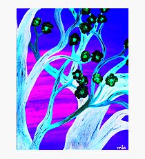 Bloom Photographic Print
