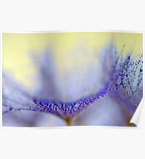 Blue Drops Poster